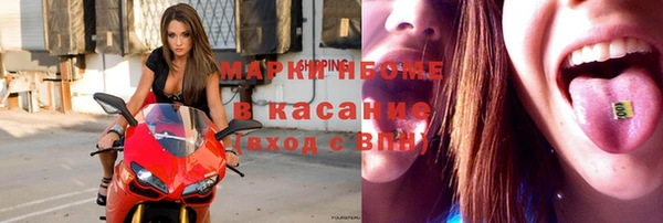 гидра Новозыбков