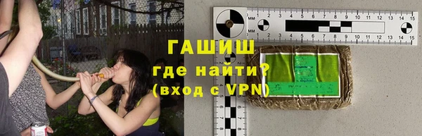 гидра Новозыбков