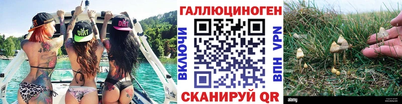 Галлюциногенные грибы прущие грибы  Купить закладки  Шарыпово 